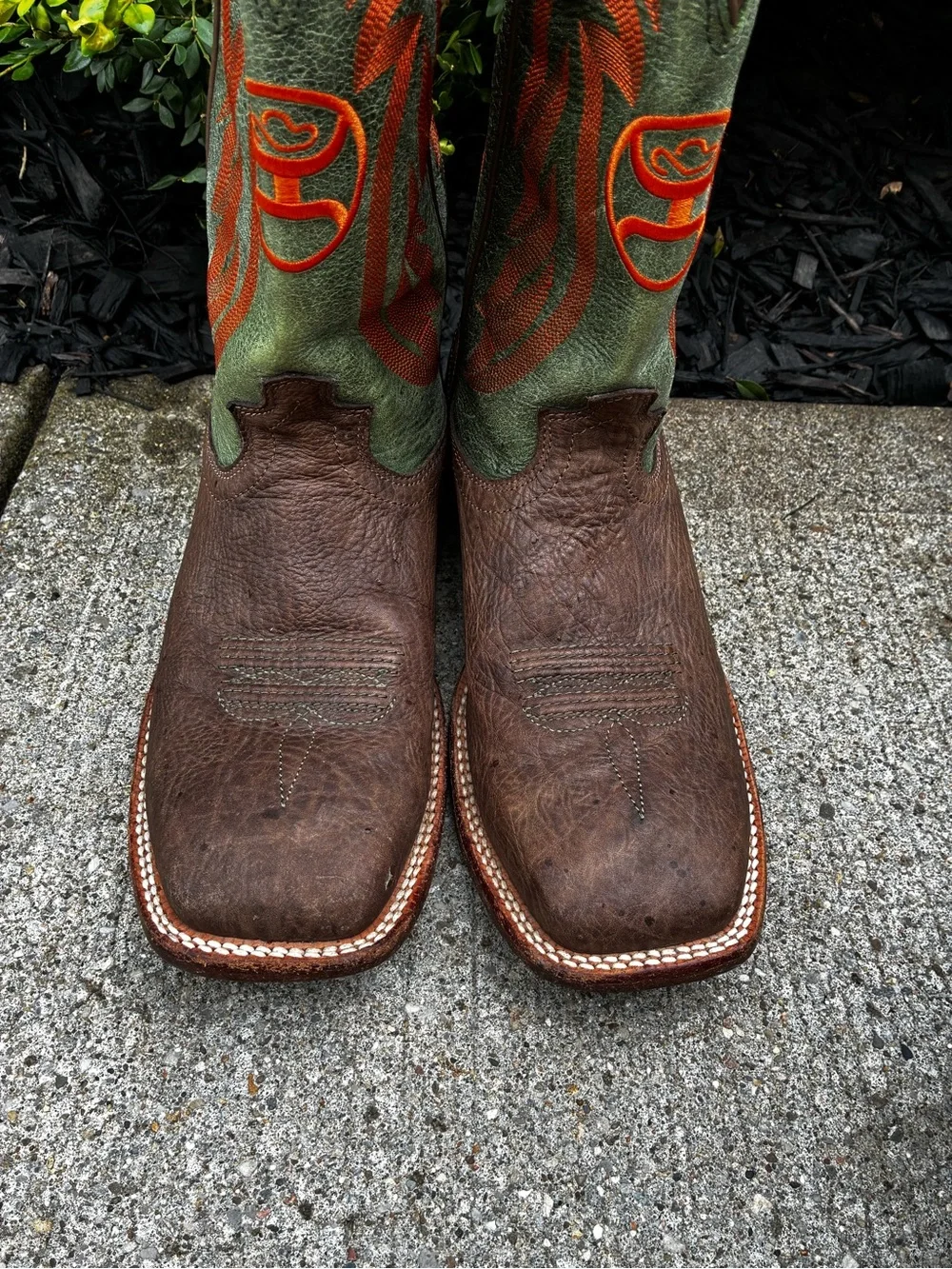 Hooey Twisted X boots